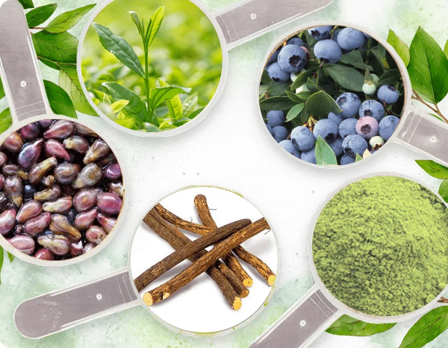 Neuro Serge ingredients collage showing green tea leaves, bilberries, grape seeds, licorice root and green powder