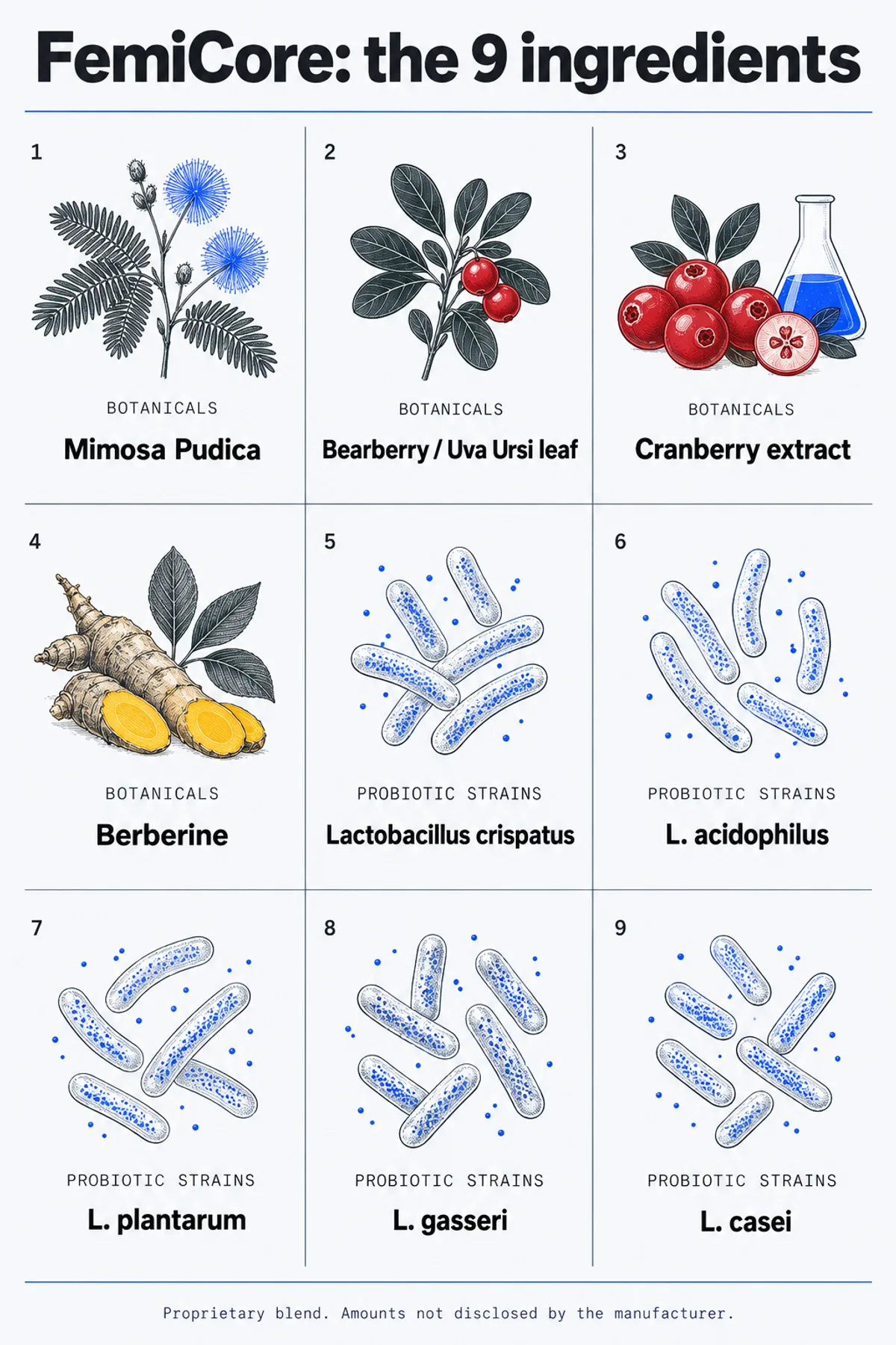 FemiCore ingredients infographic: the four botanicals and five Lactobacillus strains in the formula with the evidence grade assigned to each